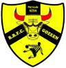 Logo R.R.F.C.GOZEE